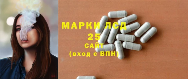 прущие грибы Ладушкин