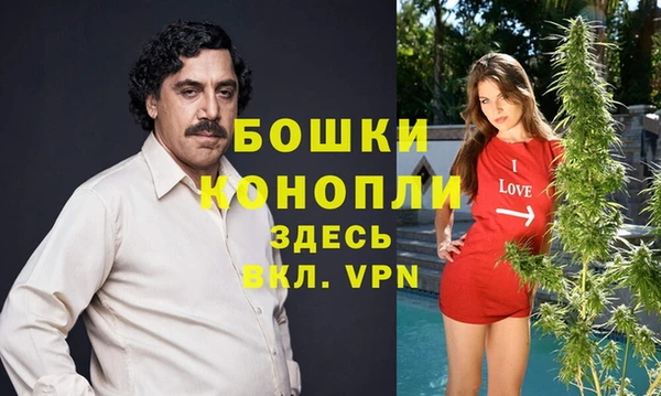 прущие грибы Ладушкин