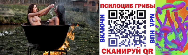 Псилоцибиновые грибы мухоморы  купить закладку  Шумиха 